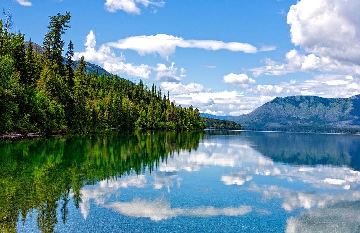 Tranquil Forest Lake Reflection Scenic Landscape Mural Wallpaper in Green Blue