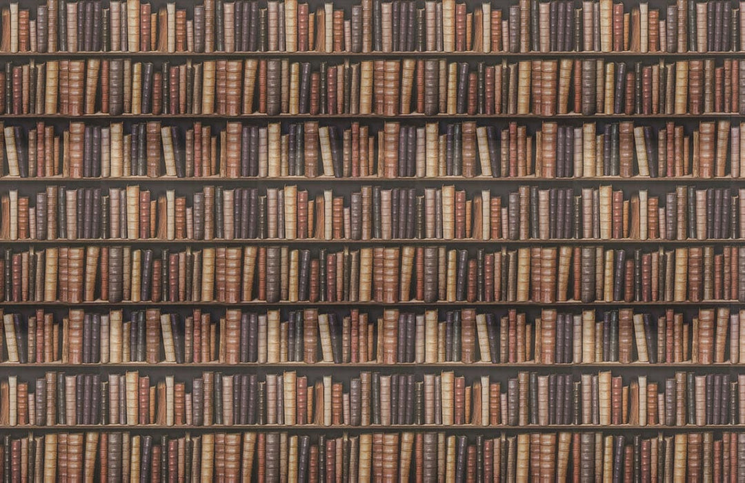 Vintage Library Bookshelf Wallpaper, Brown and Cream, Classic Literary Decor Style