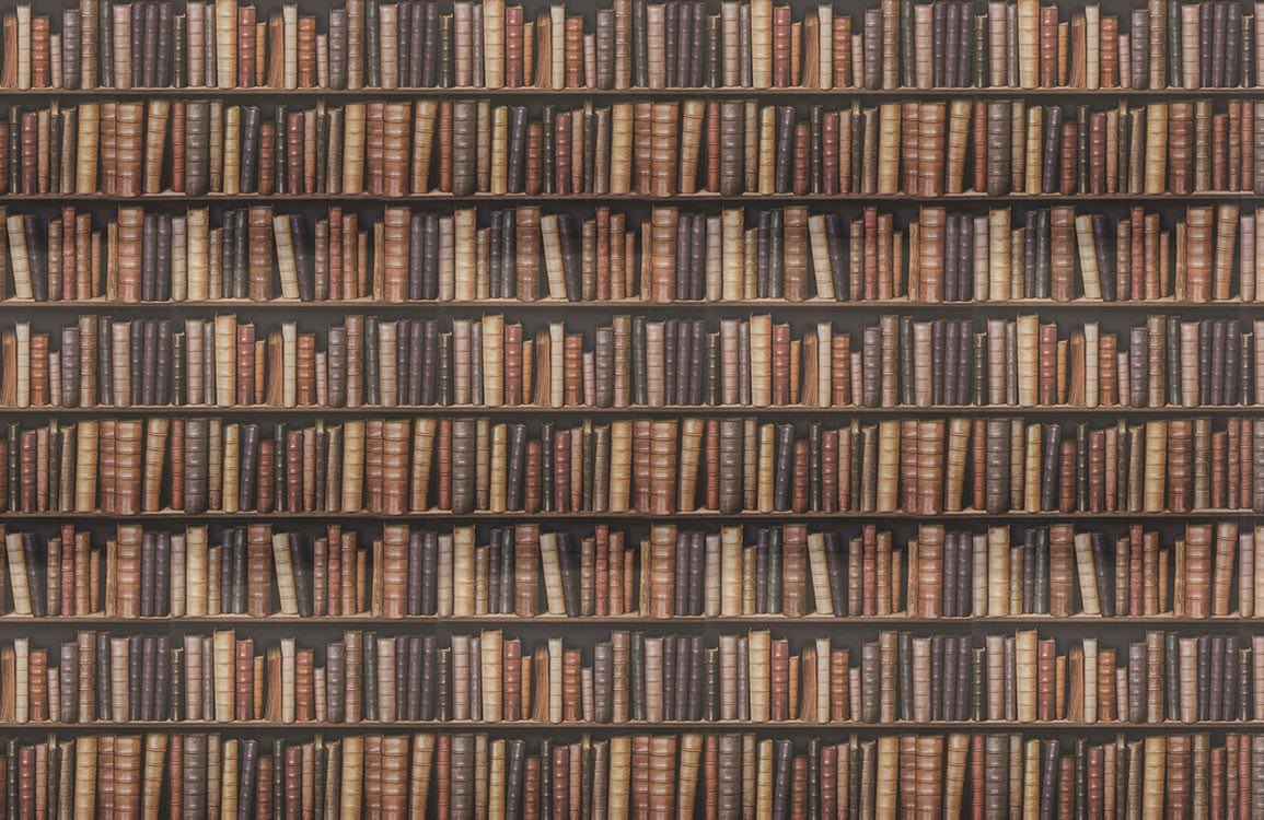 Vintage Library Bookshelf Wallpaper, Brown and Cream, Classic Literary Decor Style