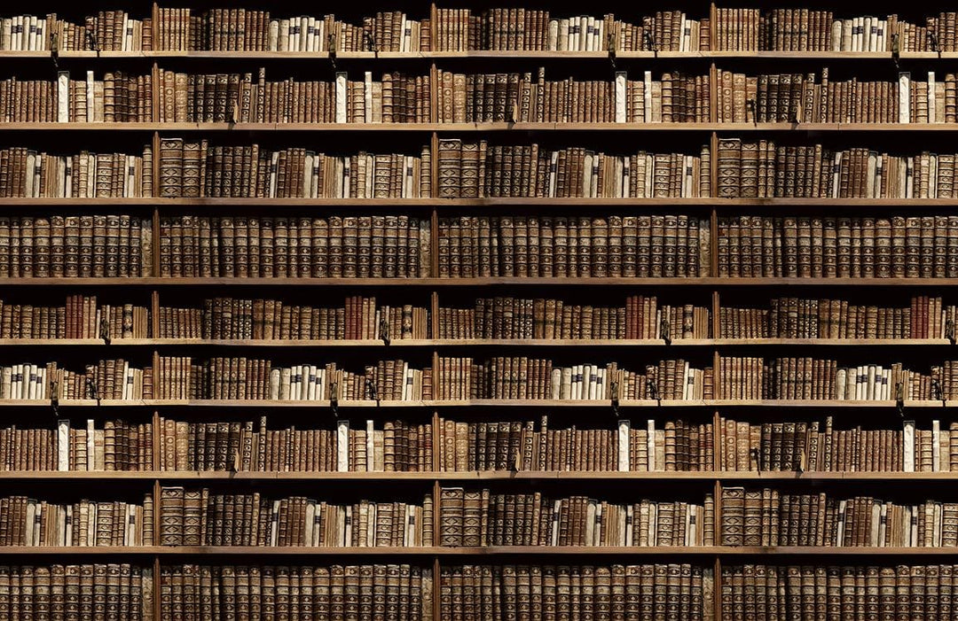 Vintage Library Bookshelf Mural Wallpaper - Classic Brown Book Pattern Decor