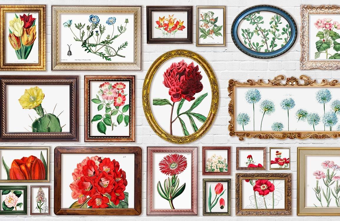 Vintage Floral Gallery Mural Wallpaper with Framed Botanical Art Prints