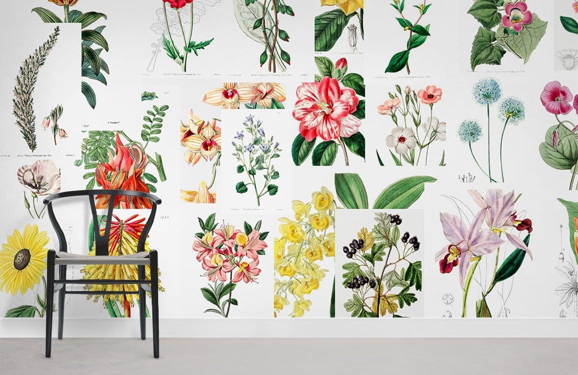 Botany Flower Wallpaper Mural Room