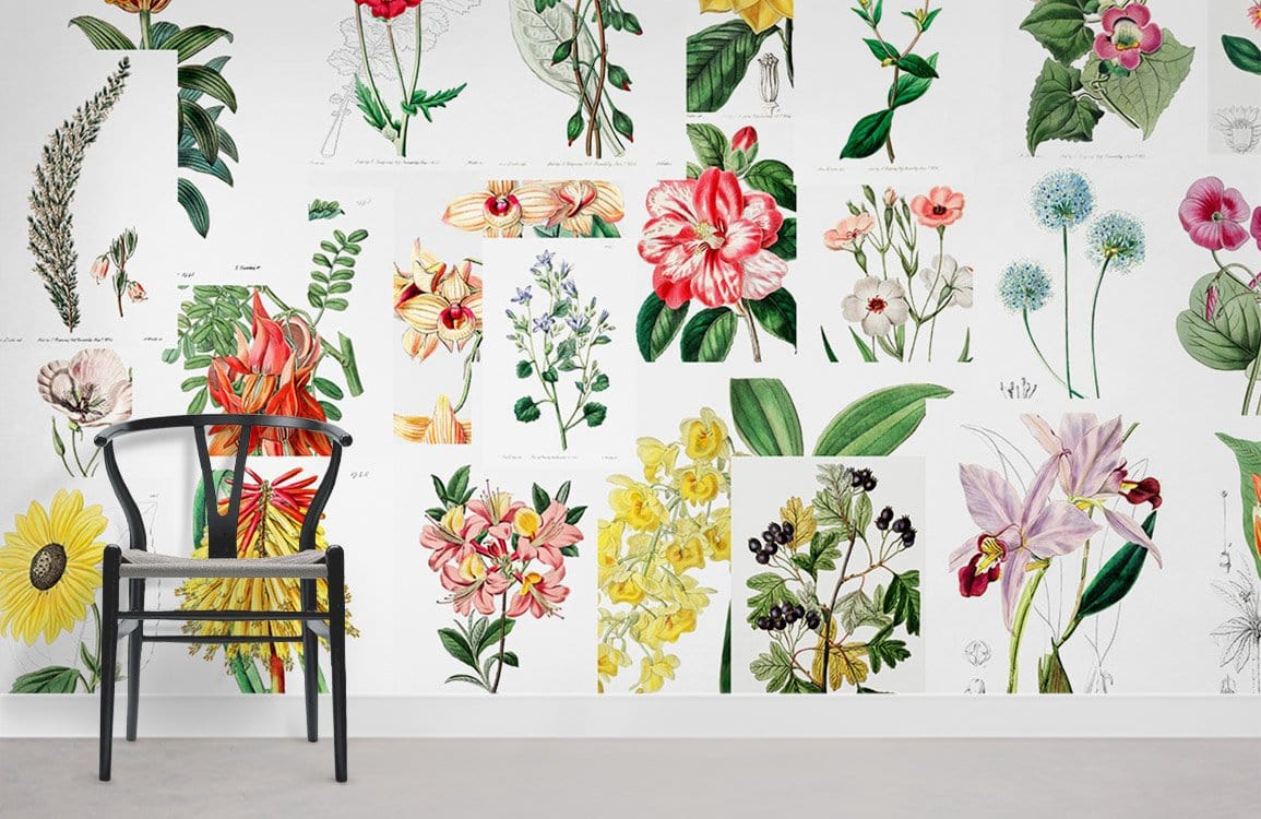 Vintage floral botanical mural wallpaper, colourful garden blooms, modern chair, neutral flooring, contemporary style.