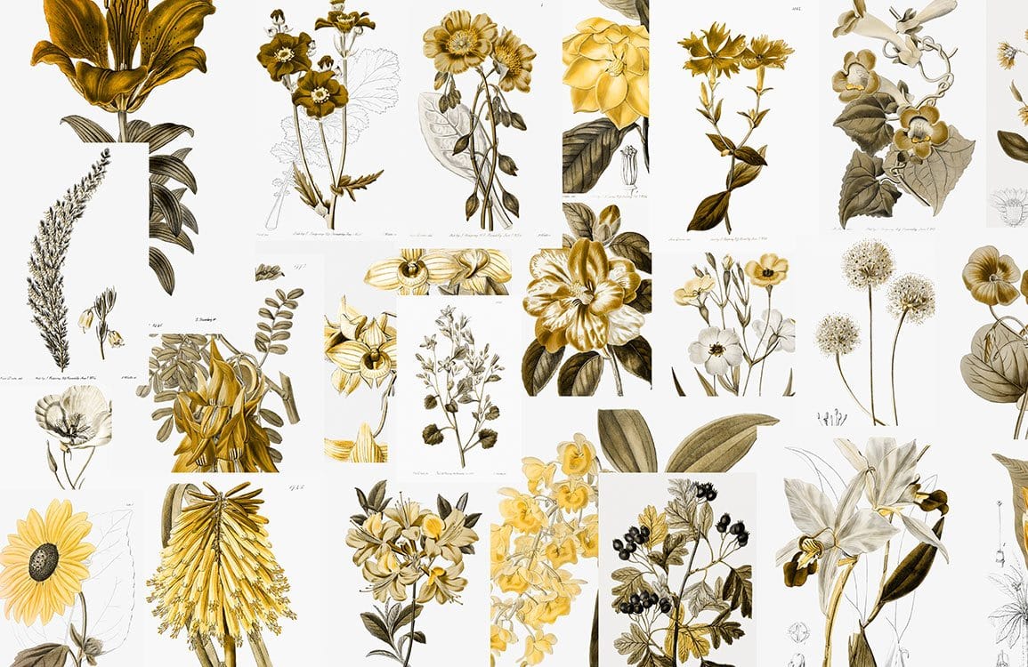 Vintage Botanical Floral Mural Wallpaper in Mustard Yellow and Olive Green