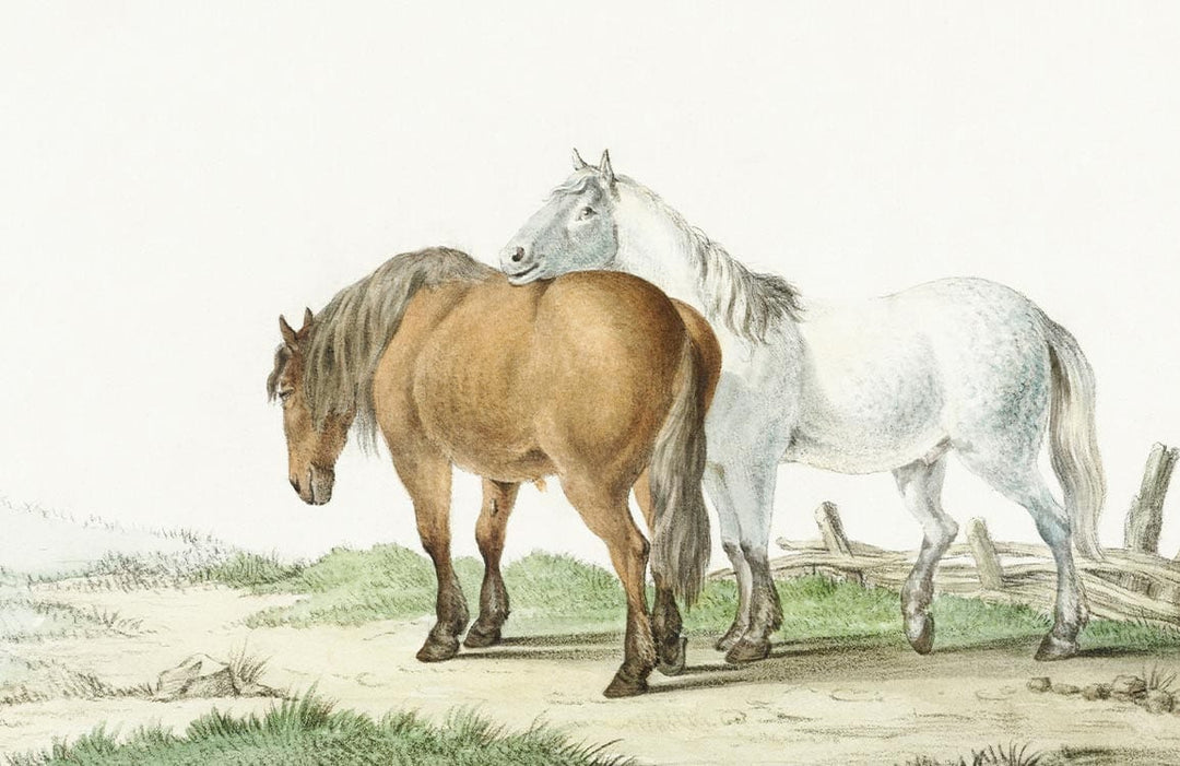 Vintage Equestrian Landscape Wallpaper Mural with Horses - Rustic Country Style