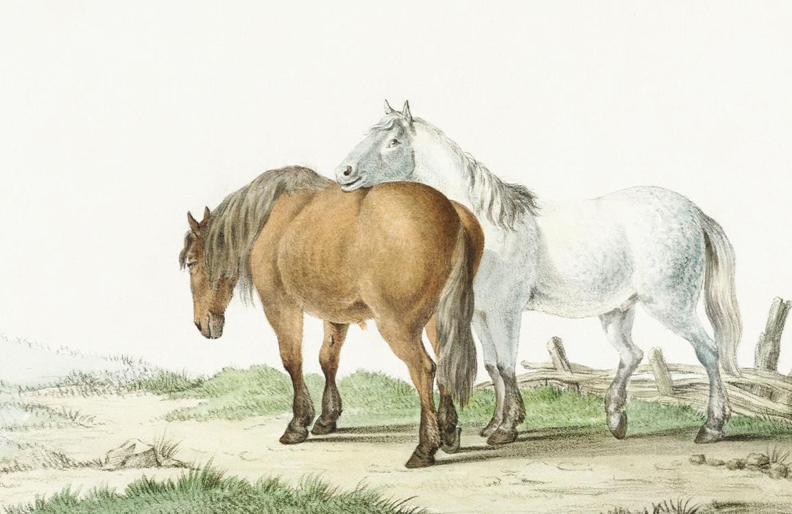 Vintage Equestrian Landscape Wallpaper Mural with Horses - Rustic Country Style