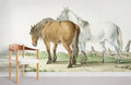 Brown and White Wallpaper Mural