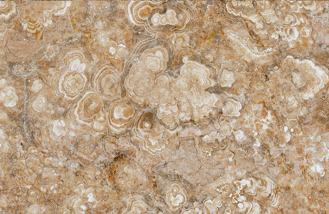 Elegant Beige Marble Effect Wallpaper with Intricate Natural Stone Design