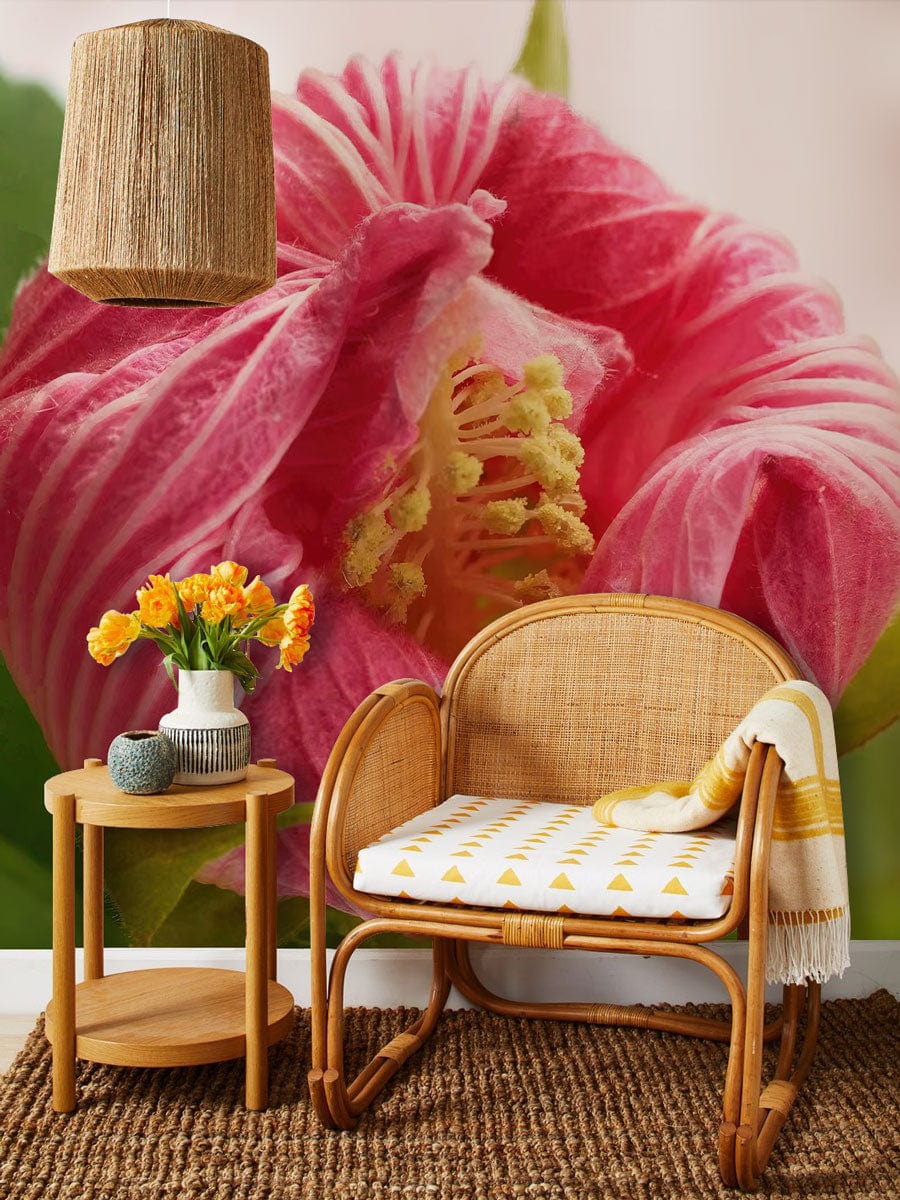Blossoming pink hibiscus wallpaper, rattan chair, woven rug, side table with lamp, elegant home Décor.