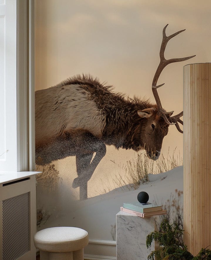 Majestic Elk mural wallpaper in snowy landscape with stool, white panel wall, modern column decor.