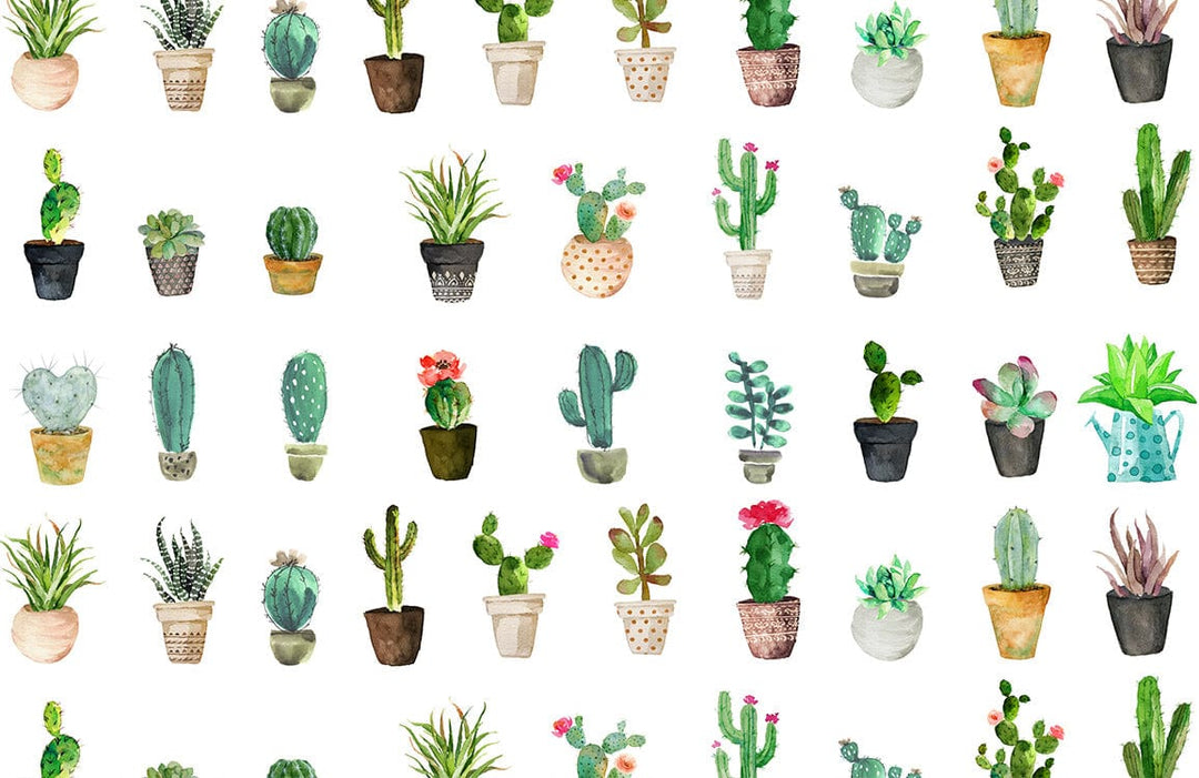 Charming Watercolour Cactus Pattern Wallpaper - Vibrant Botanical Design