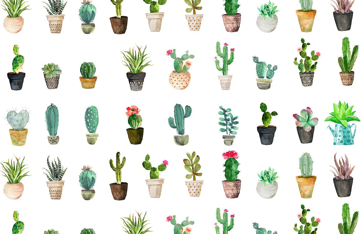 Charming Watercolour Cactus Pattern Wallpaper - Vibrant Botanical Design