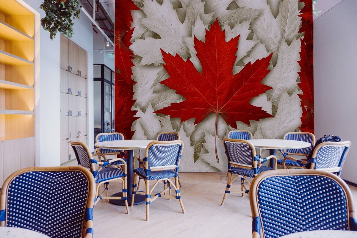 Chic dining room with Canadian mural wallpaper, blue and white chairs, light wood flooring.