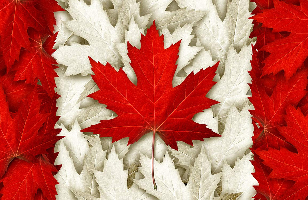 Red and White Maple Leaf Pattern Canadian Themed Mural Wallpaper