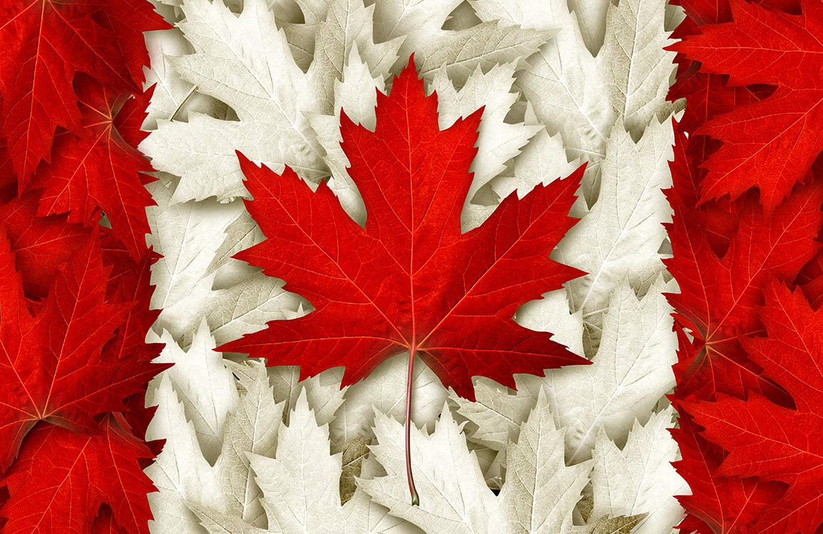 Red and White Maple Leaf Pattern Canadian Themed Mural Wallpaper
