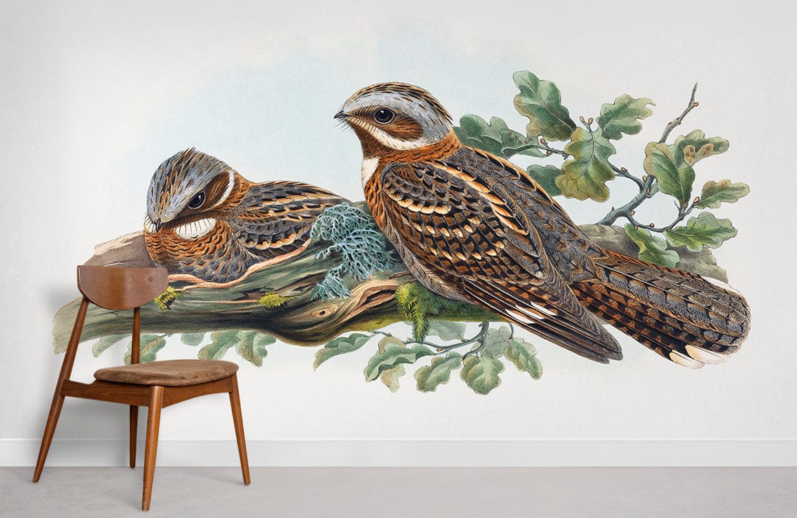 Vintage Bird Illustration Wallpaper with earthy tones, natural charm, wooden chair, minimalist room Décor.