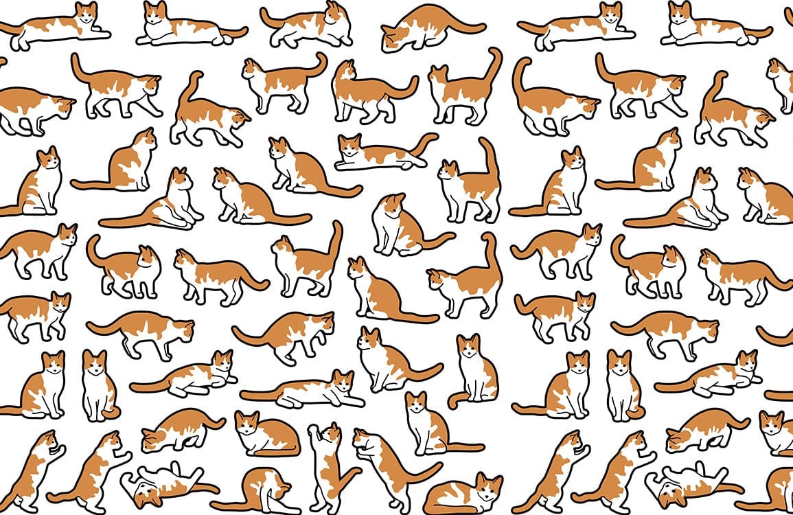 Cat Pose Collection Wallpaper Mural
