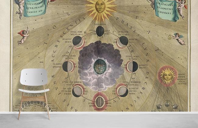 Cellarius Atlas Wallpaper Mural