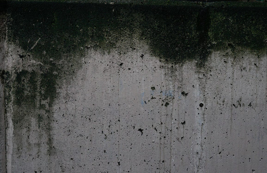 Urban Industrial Concrete Texture Mural Wallpaper in Rustic Grey and Moss Green