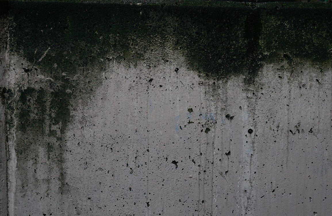 Urban Industrial Concrete Texture Mural Wallpaper in Rustic Grey and Moss Green