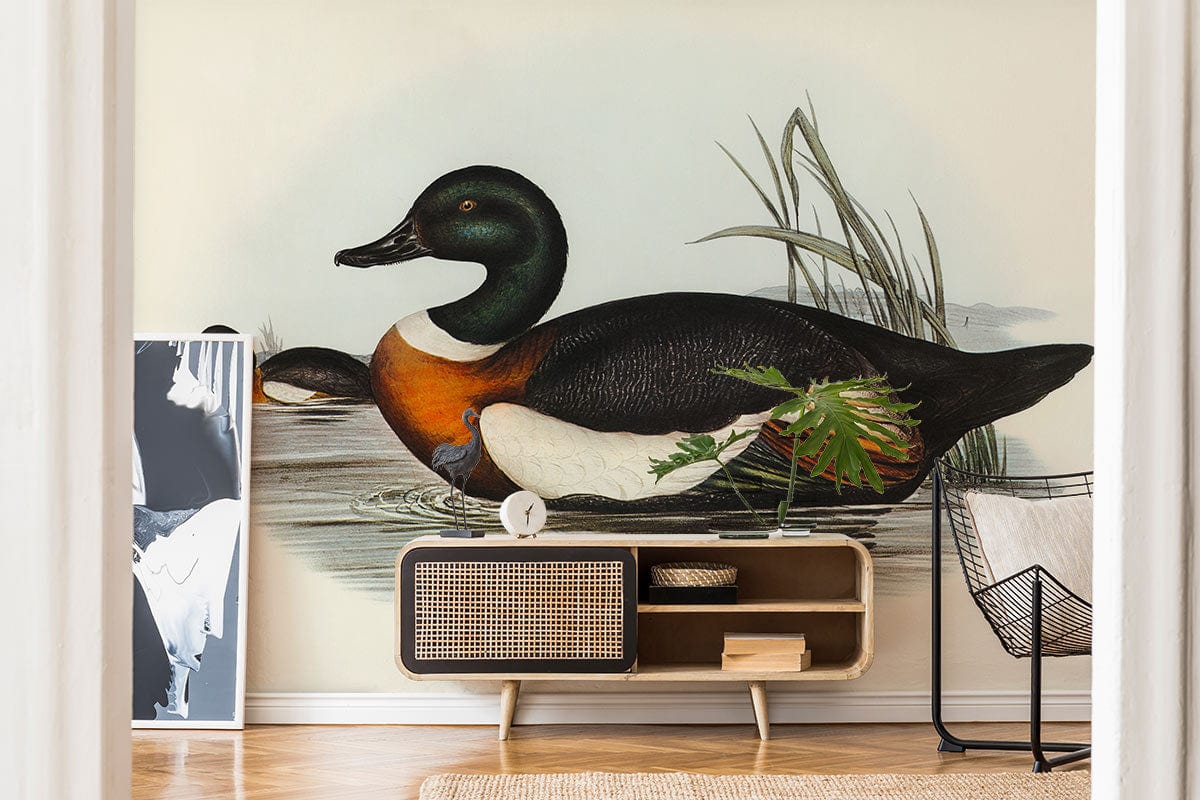 Vintage Wildlife Waterfowl Art Wallpaper with elegant duck design, neutral wall, and wooden flooring.