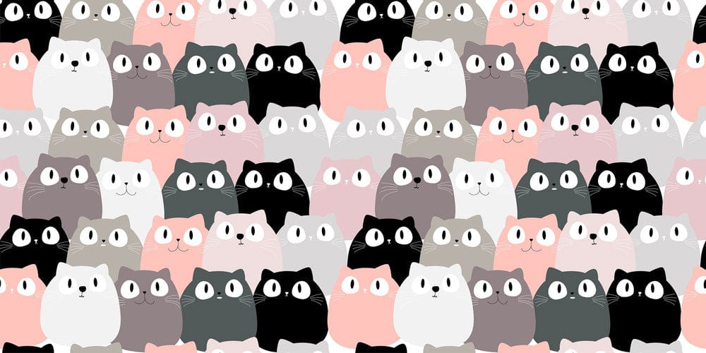 Chubby Kitties Wallpaper Mural