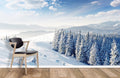 Clear Sky After Snow Wallpaper Mural