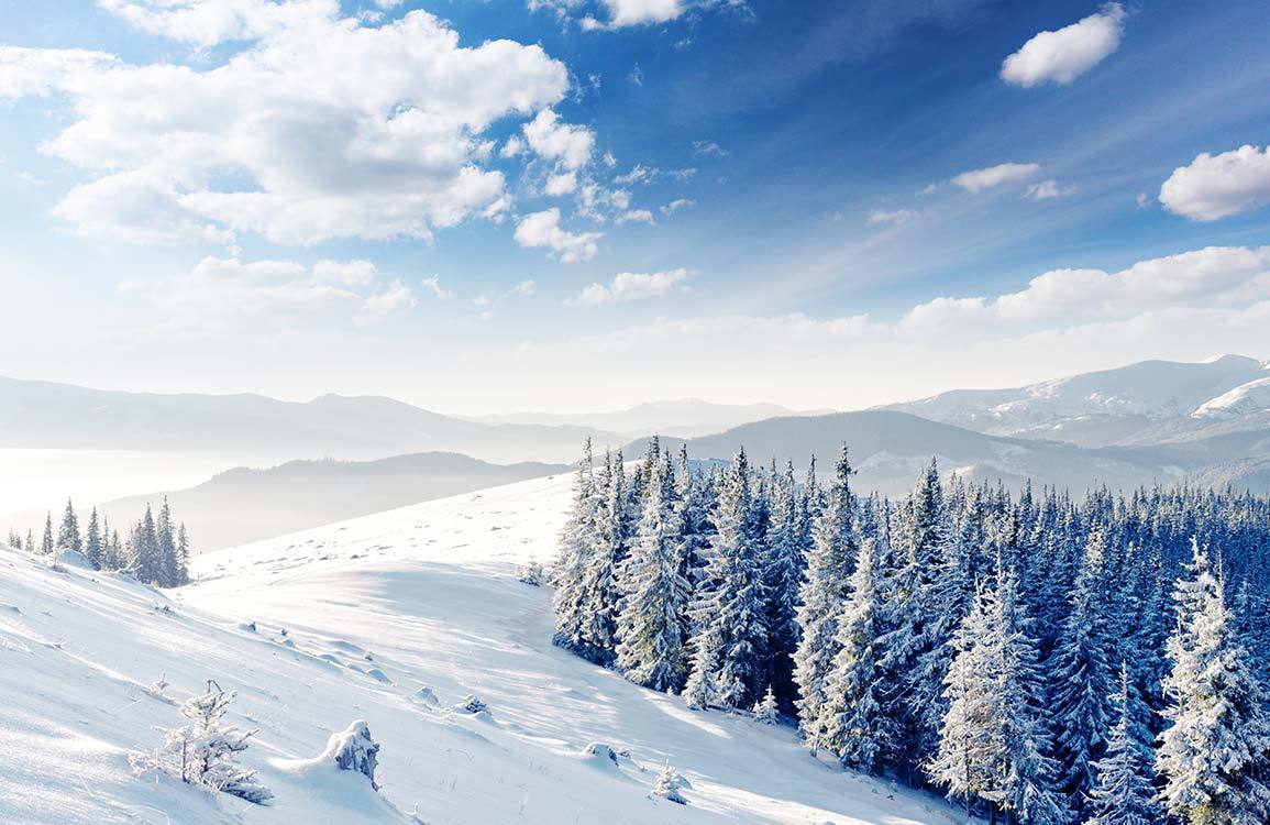 Scenic Winter Wonderland Snowy Mountain Forest Mural Wallpaper - Blue and White Elegance
