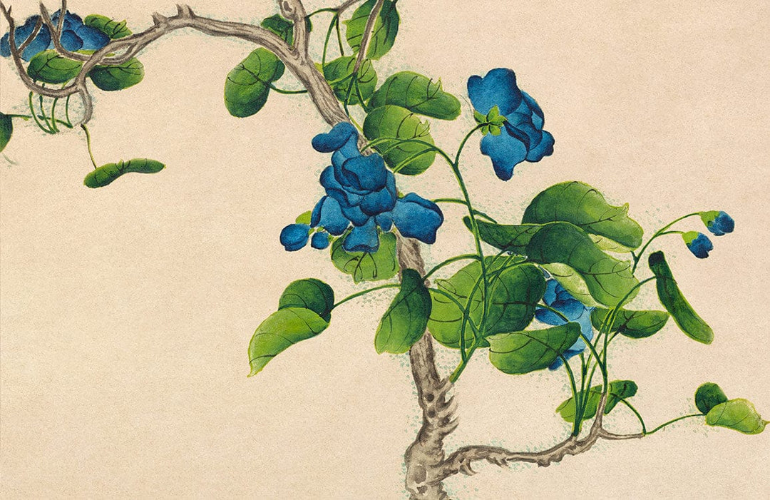 Elegant Vintage Blue Floral Botanical Mural Wallpaper for Timeless Interiors