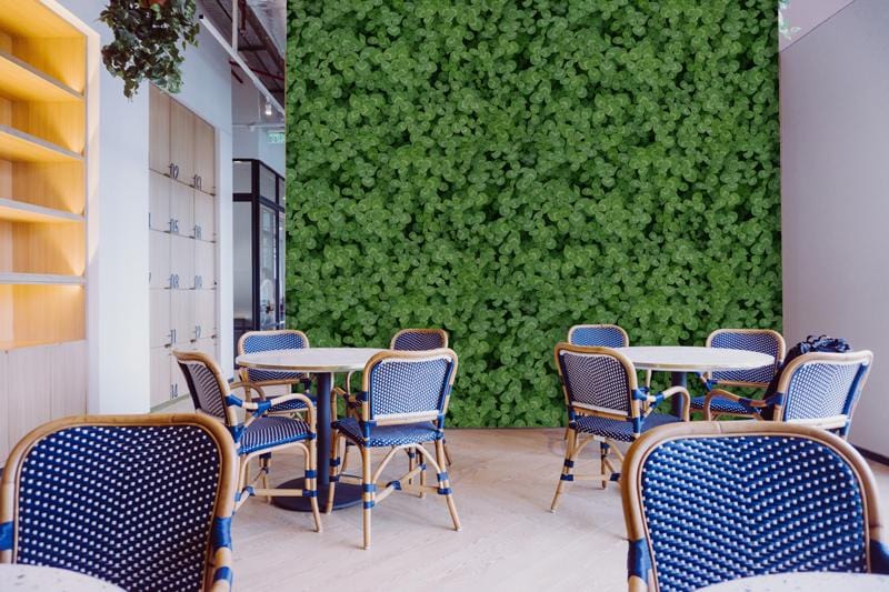Luxurious green clover patterned botanical wallpaper in a modern dining room with blue chairs, light flooring.