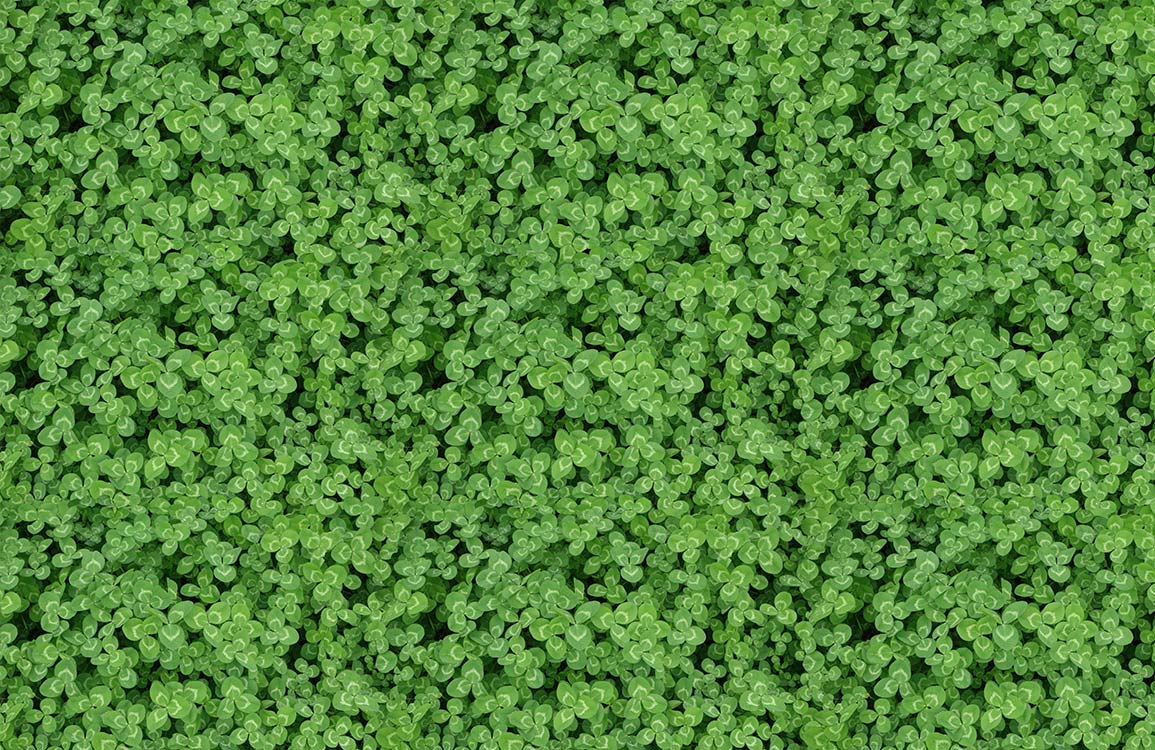 Clover Wallpaper Mural