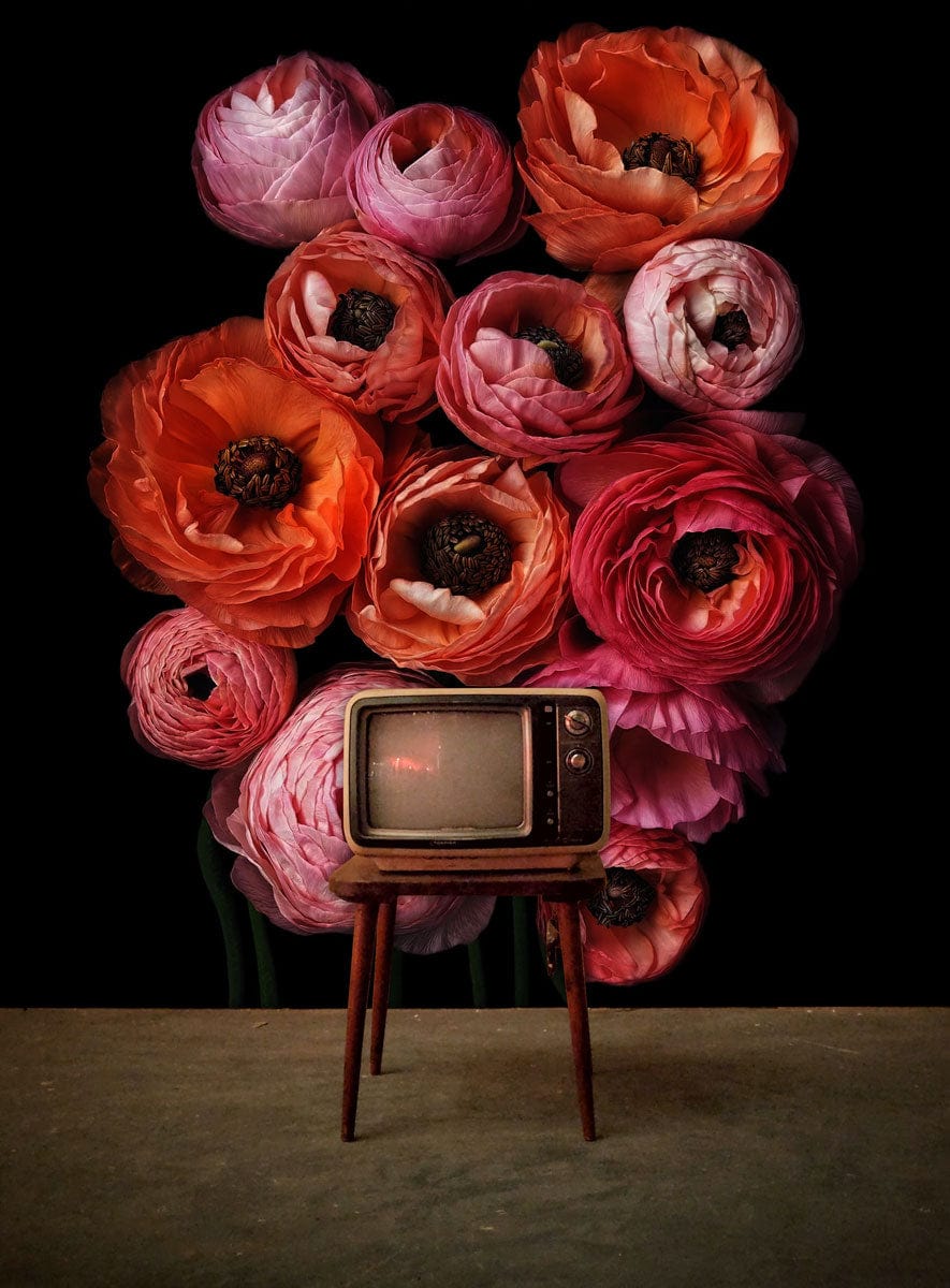 Vibrant Blooms wallpaper with pink-orange flowers, retro television, wooden floor in living room.