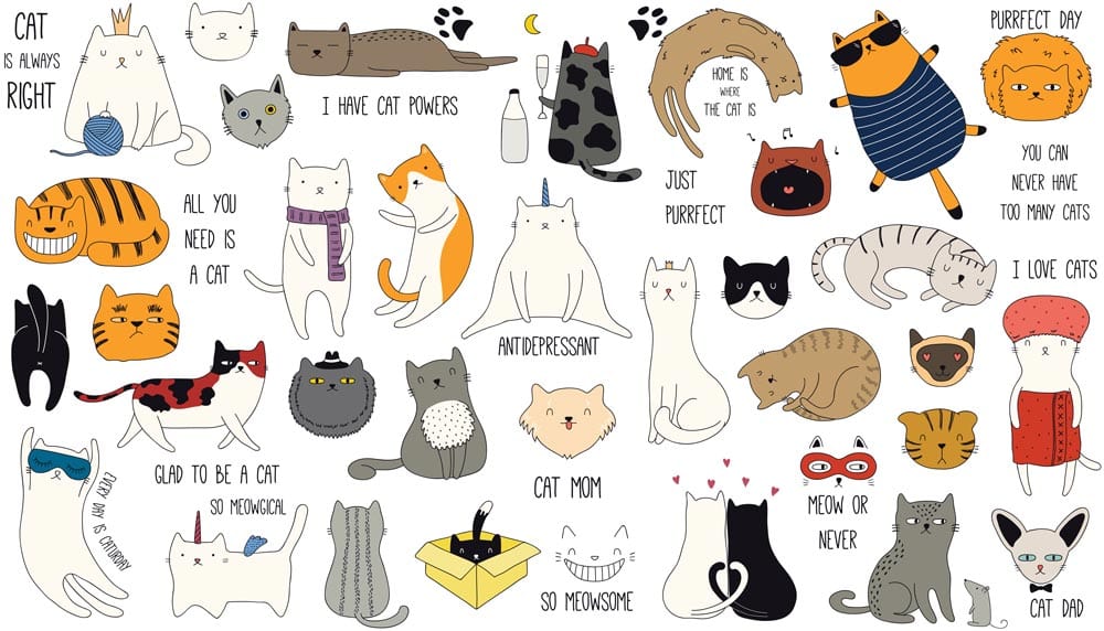 Playful Cartoon Cat Quotes Wallpaper - Colourful Feline Mural for Kids' Rooms