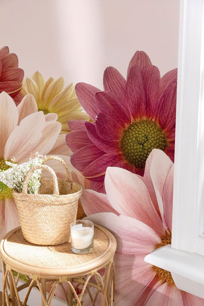 Vintage Floral Daisy Bloom Mural Wallpaper in soft pink hues, rattan side table.