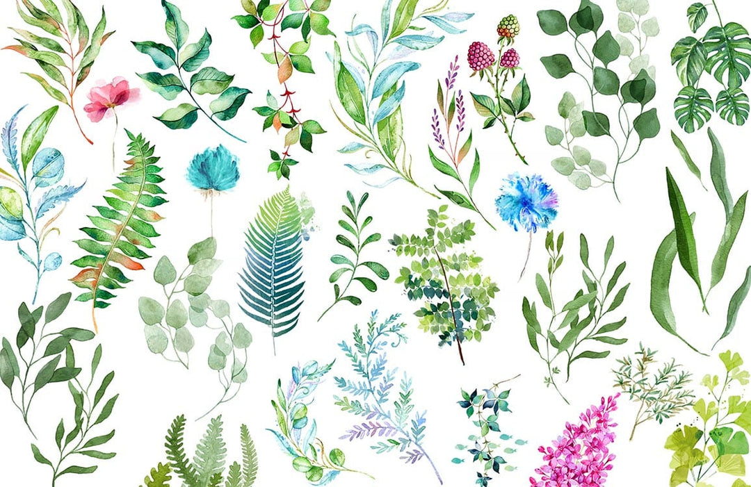 Vibrant Botanical Watercolour Leaf Pattern Wallpaper in Green and Floral Burst Style