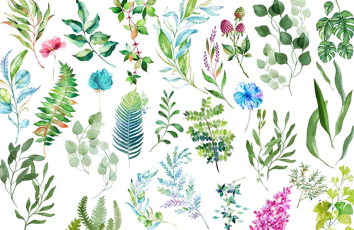 Vibrant Botanical Watercolour Leaf Pattern Wallpaper in Green and Floral Burst Style