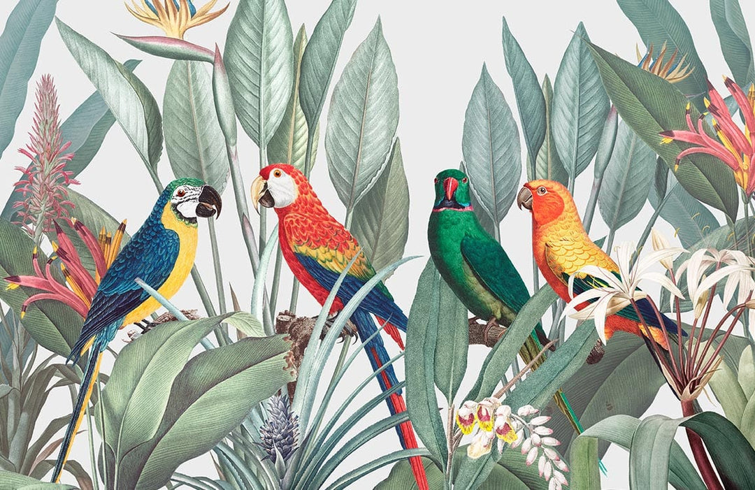 Tropical Parrot Paradise Mural Wallpaper with Vibrant Jungle Botanical Design