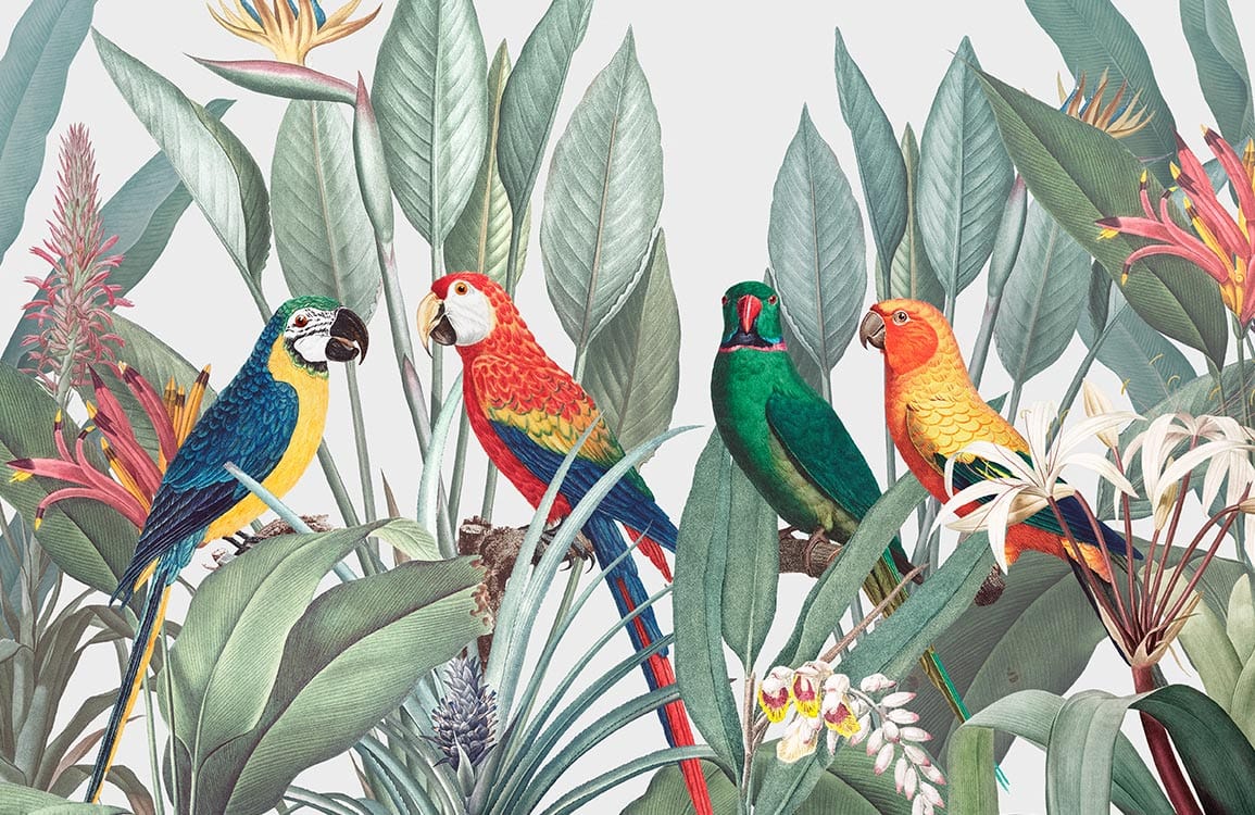 Tropical Parrot Paradise Mural Wallpaper with Vibrant Jungle Botanical Design