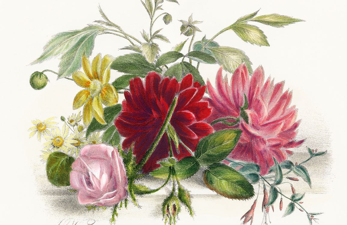 Vintage Botanical Floral Mural Wallpaper - Classic Red and Pink Blooms