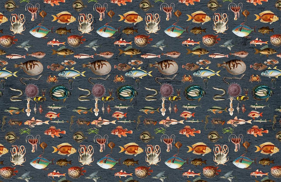 Undersea Adventure Dark Blue Marine Life Pattern Wallpaper Mural