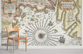 Combat Map Wallpaper Mural