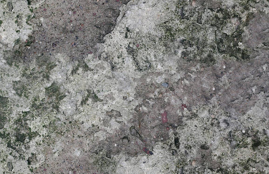 Vintage Mossy Concrete Texture Mural Wallpaper in Earthy Grey Tones