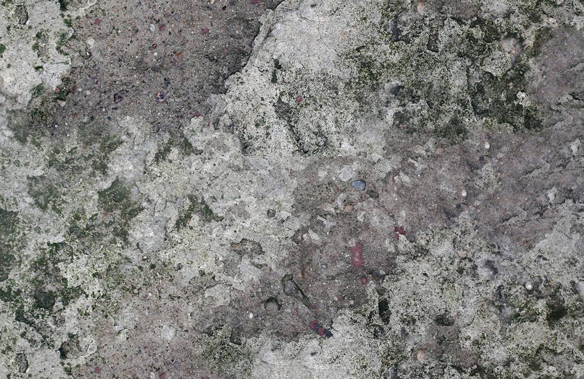 Vintage Mossy Concrete Texture Mural Wallpaper in Earthy Grey Tones