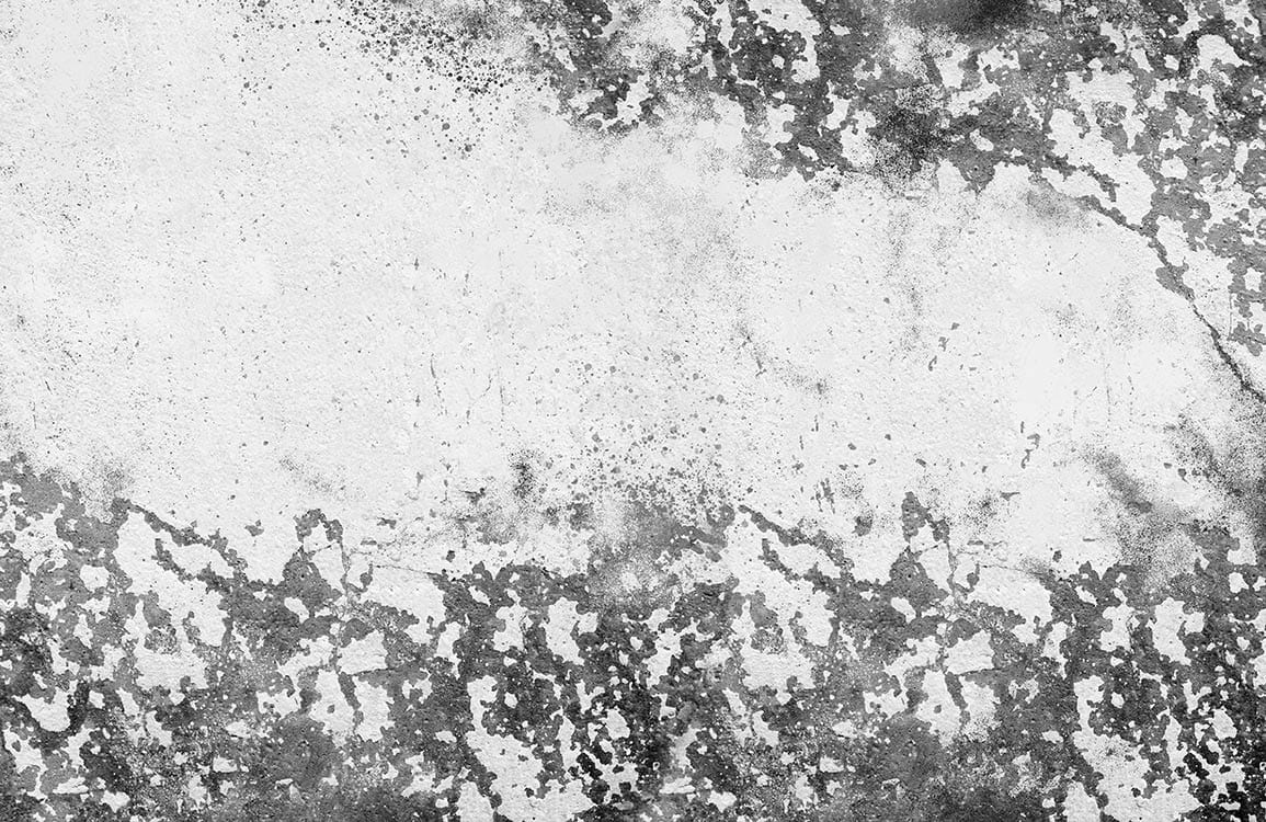 Antique Grey Distressed Industrial Chic Mural Wallpaper for Modern Interiors