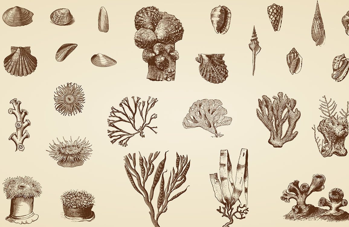 Vintage Sepia Marine Life Pattern Wallpaper - Elegant Underwater Art Décor