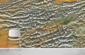 Crack Art Wallpaper Mural