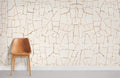 Cracked Earth Wallpaper Mural