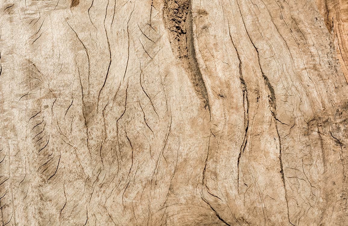 Rustic Wood Grain Texture Wallpaper in Natural Earthy Tones Design
