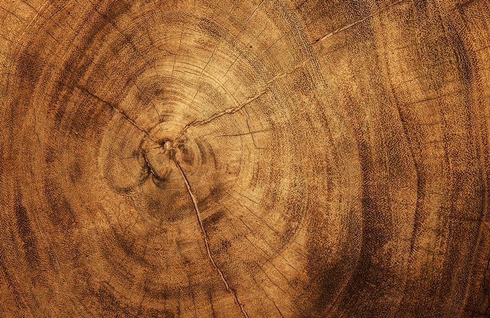 Rustic Wood Grain Effect Brown Textured Wallpaper for Natural Style Décor