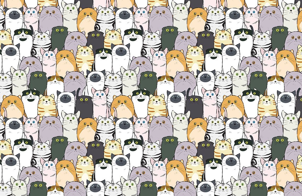Adorable Cartoon Cat Wallpaper, Multicolour, Playful and Whimsical Design for Home Decor.